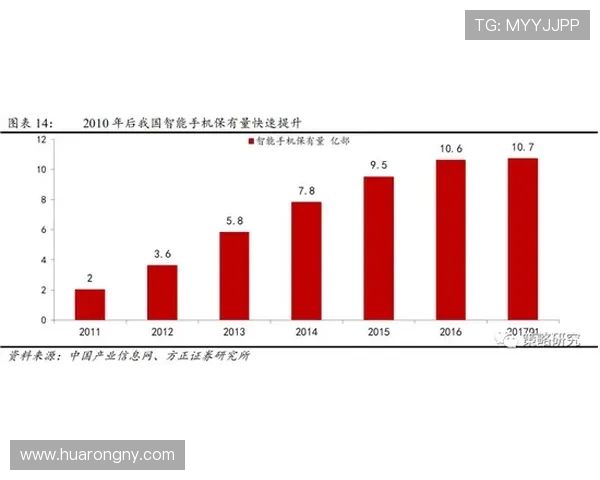 重庆极限运动队状态对比深度解析与未来发展趋势探讨